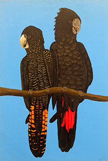Black Cockatoo by Gito von Schlippe